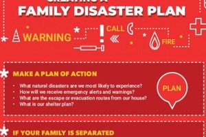 Create a Family Disaster Plan: Stay Safe Disaster Information Hub – Latest Natural Disaster News & Emergency Resources Create a Family Disaster Plan: Stay Safe | Disaster Information Hub – Latest Natural Disaster News & Emergency Resources
