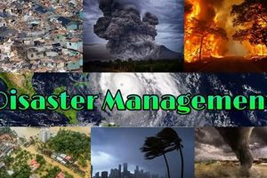 Proactive Disaster Mgt Strategies for Resilience Disaster Information Hub – Latest Natural Disaster News & Emergency Resources Proactive Disaster Mgt Strategies for Resilience | Disaster Information Hub – Latest Natural Disaster News & Emergency Resources