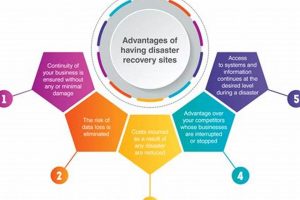 Top Disaster Recovery Sites: Guide & Best Practices Disaster Information Hub – Latest Natural Disaster News & Emergency Resources Top Disaster Recovery Sites: Guide & Best Practices | Disaster Information Hub – Latest Natural Disaster News & Emergency Resources