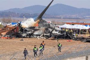 2015 Air Disasters: A Look Back Disaster Information Hub – Latest Natural Disaster News & Emergency Resources 2015 Air Disasters: A Look Back | Disaster Information Hub – Latest Natural Disaster News & Emergency Resources