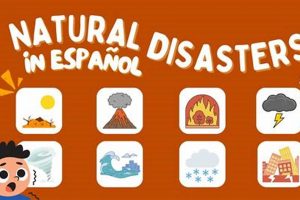 Spanish Words for Disaster: Types & Examples Disaster Information Hub – Latest Natural Disaster News & Emergency Resources Spanish Words for Disaster: Types & Examples | Disaster Information Hub – Latest Natural Disaster News & Emergency Resources
