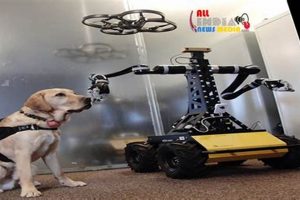 Disaster Relief: Telerobots in Action Disaster Information Hub – Latest Natural Disaster News & Emergency Resources Disaster Relief: Telerobots in Action | Disaster Information Hub – Latest Natural Disaster News & Emergency Resources