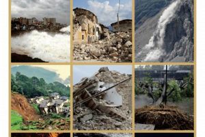 Best Disaster Management Plan: Guide & Template Disaster Information Hub – Latest Natural Disaster News & Emergency Resources Best Disaster Management Plan: Guide & Template | Disaster Information Hub – Latest Natural Disaster News & Emergency Resources