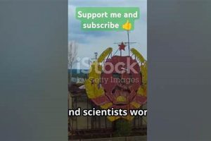 Chernobyl Nuclear Disaster: Year & Aftermath Disaster Information Hub – Latest Natural Disaster News & Emergency Resources Chernobyl Nuclear Disaster: Year & Aftermath | Disaster Information Hub – Latest Natural Disaster News & Emergency Resources