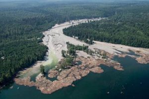 Mount Polley Mine Disaster: A Case Study Disaster Information Hub – Latest Natural Disaster News & Emergency Resources Mount Polley Mine Disaster: A Case Study | Disaster Information Hub – Latest Natural Disaster News & Emergency Resources