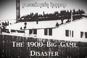 Preventing Big Game Disasters: A Guide Disaster Information Hub – Latest Natural Disaster News & Emergency Resources Preventing Big Game Disasters: A Guide | Disaster Information Hub – Latest Natural Disaster News & Emergency Resources