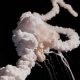 Challenger Disaster: What Caused the Tragedy? | Disaster Information Hub – Latest Natural Disaster News & Emergency Resources
