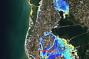 Pinellas Disaster Preparedness & Recovery Guide Disaster Information Hub – Latest Natural Disaster News & Emergency Resources Pinellas Disaster Preparedness & Recovery Guide | Disaster Information Hub – Latest Natural Disaster News & Emergency Resources