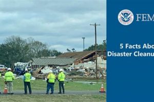 Find Disaster Clean Up Jobs Now: Hiring! Disaster Information Hub – Latest Natural Disaster News & Emergency Resources Find Disaster Clean Up Jobs Now: Hiring! | Disaster Information Hub – Latest Natural Disaster News & Emergency Resources