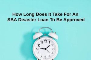 SBA Disaster Loan: How Long Does it Take? Disaster Information Hub – Latest Natural Disaster News & Emergency Resources SBA Disaster Loan: How Long Does it Take? | Disaster Information Hub – Latest Natural Disaster News & Emergency Resources