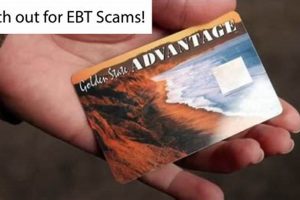 Get EBT Disaster Relief: Food Benefits Guide Disaster Information Hub – Latest Natural Disaster News & Emergency Resources Get EBT Disaster Relief: Food Benefits Guide | Disaster Information Hub – Latest Natural Disaster News & Emergency Resources