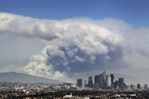 LA Natural Disaster Survival Guide Disaster Information Hub – Latest Natural Disaster News & Emergency Resources LA Natural Disaster Survival Guide | Disaster Information Hub – Latest Natural Disaster News & Emergency Resources