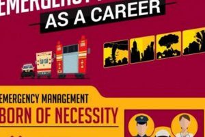 Apply Now: FEMA Disaster Relief Jobs Await Disaster Information Hub – Latest Natural Disaster News & Emergency Resources Apply Now: FEMA Disaster Relief Jobs Await | Disaster Information Hub – Latest Natural Disaster News & Emergency Resources