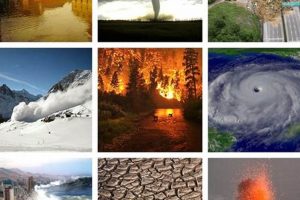 Safest Place On Earth From Natural Disasters Disaster Information Hub – Latest Natural Disaster News & Emergency Resources Safest Place On Earth From Natural Disasters | Disaster Information Hub – Latest Natural Disaster News & Emergency Resources