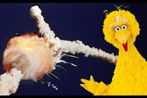 Big Bird's Challenger Disaster: A "What If" Tragedy Disaster Information Hub – Latest Natural Disaster News & Emergency Resources Big Bird's Challenger Disaster: A "What If" Tragedy | Disaster Information Hub – Latest Natural Disaster News & Emergency Resources