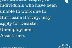 Texas Disaster Relief Unemployment Guide Disaster Information Hub – Latest Natural Disaster News & Emergency Resources Texas Disaster Relief Unemployment Guide | Disaster Information Hub – Latest Natural Disaster News & Emergency Resources