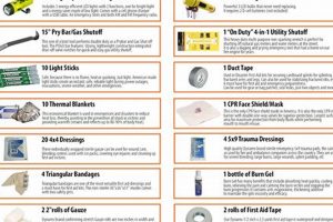 Essential Office Disaster Kit Checklist & Guide Disaster Information Hub – Latest Natural Disaster News & Emergency Resources Essential Office Disaster Kit Checklist & Guide | Disaster Information Hub – Latest Natural Disaster News & Emergency Resources