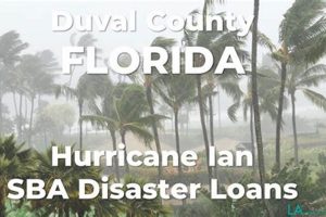 Florida Disaster Loan Assistance Programs Disaster Information Hub – Latest Natural Disaster News & Emergency Resources Florida Disaster Loan Assistance Programs | Disaster Information Hub – Latest Natural Disaster News & Emergency Resources