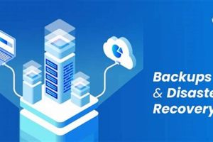 The Ultimate Guide to Backup and Disaster Recovery Disaster Information Hub – Latest Natural Disaster News & Emergency Resources The Ultimate Guide to Backup and Disaster Recovery | Disaster Information Hub – Latest Natural Disaster News & Emergency Resources
