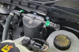 Best S&S Fuel Disaster Kit: Prepper's Guide Disaster Information Hub – Latest Natural Disaster News & Emergency Resources Best S&S Fuel Disaster Kit: Prepper's Guide | Disaster Information Hub – Latest Natural Disaster News & Emergency Resources