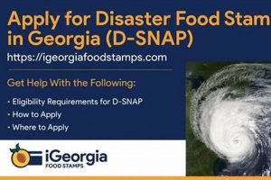GA Disaster Food Stamps Guide & Application Disaster Information Hub – Latest Natural Disaster News & Emergency Resources GA Disaster Food Stamps Guide & Application | Disaster Information Hub – Latest Natural Disaster News & Emergency Resources