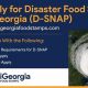 GA Disaster Food Stamps Guide &amp; Application | Disaster Information Hub – Latest Natural Disaster News & Emergency Resources