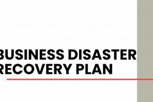 Ultimate Enterprise Disaster Recovery Plan Guide Disaster Information Hub – Latest Natural Disaster News & Emergency Resources Ultimate Enterprise Disaster Recovery Plan Guide | Disaster Information Hub – Latest Natural Disaster News & Emergency Resources