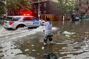 Clinton County, NY Natural Disaster Guide Disaster Information Hub – Latest Natural Disaster News & Emergency Resources Clinton County, NY Natural Disaster Guide | Disaster Information Hub – Latest Natural Disaster News & Emergency Resources