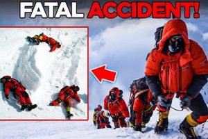 K2 Disaster: Tragedy on the Savage Mountain Disaster Information Hub – Latest Natural Disaster News & Emergency Resources K2 Disaster: Tragedy on the Savage Mountain | Disaster Information Hub – Latest Natural Disaster News & Emergency Resources