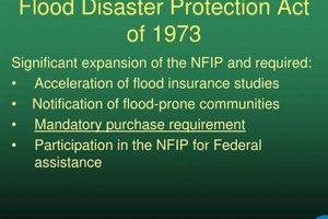 Understanding the Flood Disaster Protection Act & Its Impact Disaster Information Hub – Latest Natural Disaster News & Emergency Resources Understanding the Flood Disaster Protection Act & Its Impact | Disaster Information Hub – Latest Natural Disaster News & Emergency Resources