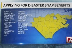 NC Disaster SNAP Benefits Guide Disaster Information Hub – Latest Natural Disaster News & Emergency Resources NC Disaster SNAP Benefits Guide | Disaster Information Hub – Latest Natural Disaster News & Emergency Resources