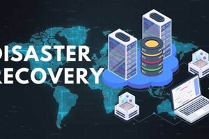 Ultimate Disaster Recovery Cyber Security Guide Disaster Information Hub – Latest Natural Disaster News & Emergency Resources Ultimate Disaster Recovery Cyber Security Guide | Disaster Information Hub – Latest Natural Disaster News & Emergency Resources