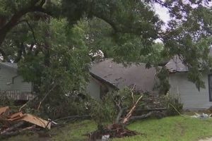 Texas Counties Disaster Declarations: A Guide Disaster Information Hub – Latest Natural Disaster News & Emergency Resources Texas Counties Disaster Declarations: A Guide | Disaster Information Hub – Latest Natural Disaster News & Emergency Resources
