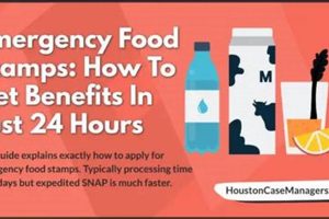 Disaster Food Stamps: How Long Until Benefits? Disaster Information Hub – Latest Natural Disaster News & Emergency Resources Disaster Food Stamps: How Long Until Benefits? | Disaster Information Hub – Latest Natural Disaster News & Emergency Resources