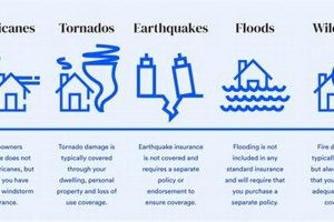 Vrbo Natural Disaster Policy: A Traveler's Guide Disaster Information Hub – Latest Natural Disaster News & Emergency Resources Vrbo Natural Disaster Policy: A Traveler's Guide | Disaster Information Hub – Latest Natural Disaster News & Emergency Resources