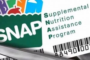 Apply for Texas Disaster SNAP Benefits Now Disaster Information Hub – Latest Natural Disaster News & Emergency Resources Apply for Texas Disaster SNAP Benefits Now | Disaster Information Hub – Latest Natural Disaster News & Emergency Resources