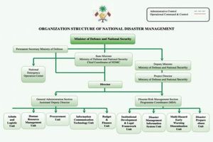 Effective National Disaster Management Organization Strategies Disaster Information Hub – Latest Natural Disaster News & Emergency Resources Effective National Disaster Management Organization Strategies | Disaster Information Hub – Latest Natural Disaster News & Emergency Resources
