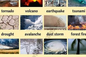 Ultimate List of Natural Disaster Types: A Guide Disaster Information Hub – Latest Natural Disaster News & Emergency Resources Ultimate List of Natural Disaster Types: A Guide | Disaster Information Hub – Latest Natural Disaster News & Emergency Resources