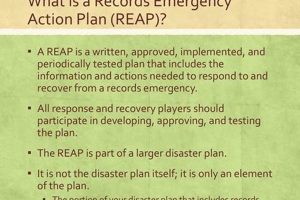 Your Essential Records Disaster Plan: A Guide Disaster Information Hub – Latest Natural Disaster News & Emergency Resources Your Essential Records Disaster Plan: A Guide | Disaster Information Hub – Latest Natural Disaster News & Emergency Resources