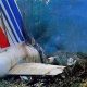 Tragic Air France Disasters: Lessons & Legacy | Disaster Information Hub – Latest Natural Disaster News & Emergency Resources