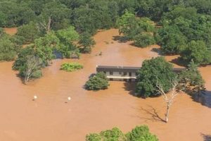 Preventing Ecosystem Disasters: A Guide Disaster Information Hub – Latest Natural Disaster News & Emergency Resources Preventing Ecosystem Disasters: A Guide | Disaster Information Hub – Latest Natural Disaster News & Emergency Resources