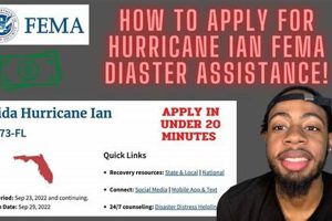 After a Disaster? Call FEMA Now! Disaster Information Hub – Latest Natural Disaster News & Emergency Resources After a Disaster? Call FEMA Now! | Disaster Information Hub – Latest Natural Disaster News & Emergency Resources