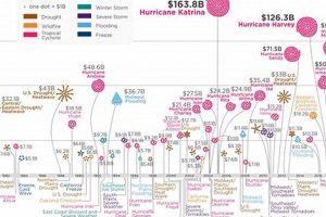 Top 5 Most Expensive Natural Disasters in History Disaster Information Hub – Latest Natural Disaster News & Emergency Resources Top 5 Most Expensive Natural Disasters in History | Disaster Information Hub – Latest Natural Disaster News & Emergency Resources