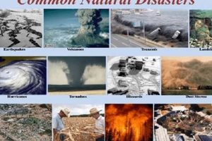 Understanding Common Natural Disasters: A Guide Disaster Information Hub – Latest Natural Disaster News & Emergency Resources Understanding Common Natural Disasters: A Guide | Disaster Information Hub – Latest Natural Disaster News & Emergency Resources