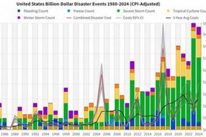 Global Disaster Survivors 2000-2024: Annual Statistics Disaster Information Hub – Latest Natural Disaster News & Emergency Resources Global Disaster Survivors 2000-2024: Annual Statistics | Disaster Information Hub – Latest Natural Disaster News & Emergency Resources