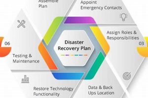 Top Disaster Recovery Companies: Best of 2024 Disaster Information Hub – Latest Natural Disaster News & Emergency Resources Top Disaster Recovery Companies: Best of 2024 | Disaster Information Hub – Latest Natural Disaster News & Emergency Resources