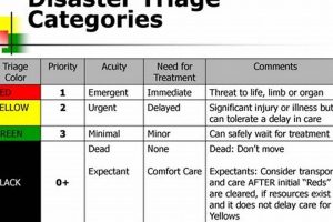 Effective Disaster Triaging in Emergency Response Disaster Information Hub – Latest Natural Disaster News & Emergency Resources Effective Disaster Triaging in Emergency Response | Disaster Information Hub – Latest Natural Disaster News & Emergency Resources