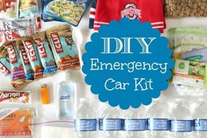 Essential Car Disaster Kit - Stay Safe & Prepared Disaster Information Hub – Latest Natural Disaster News & Emergency Resources Essential Car Disaster Kit - Stay Safe & Prepared | Disaster Information Hub – Latest Natural Disaster News & Emergency Resources