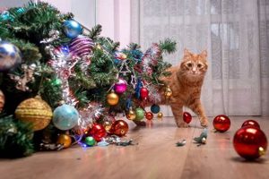 Avert Christmas Disaster: Holiday Safety Guide Disaster Information Hub – Latest Natural Disaster News & Emergency Resources Avert Christmas Disaster: Holiday Safety Guide | Disaster Information Hub – Latest Natural Disaster News & Emergency Resources