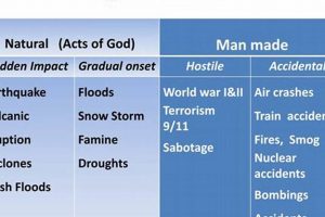 Understanding Different Types of Disasters Disaster Information Hub – Latest Natural Disaster News & Emergency Resources Understanding Different Types of Disasters | Disaster Information Hub – Latest Natural Disaster News & Emergency Resources